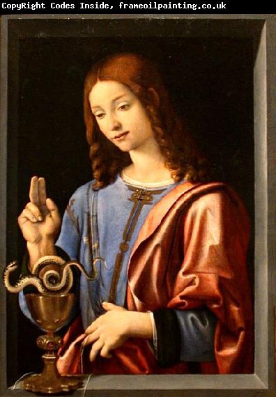 Piero di Cosimo St. John the Evangelist